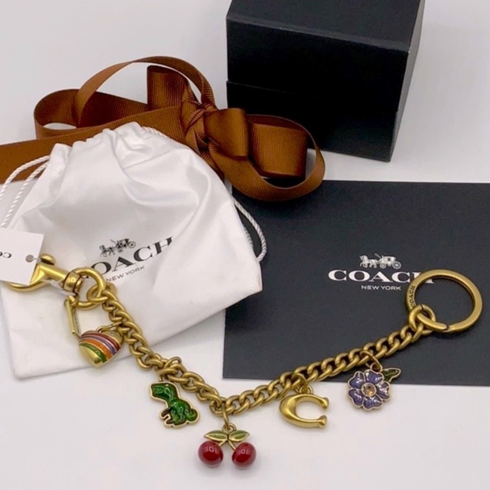 Coach bag extender chain with charms